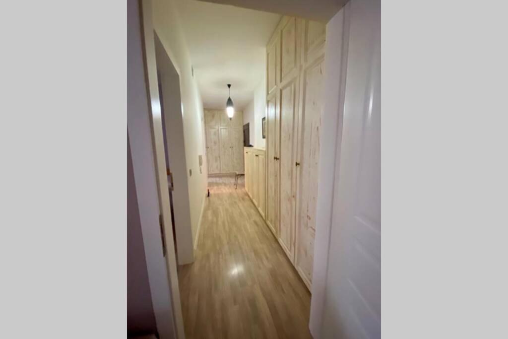 Cozy Lake Front Flat Bequeme Wohnung An Der See Pogradec Buitenkant foto